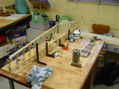 DSC00290.JPG